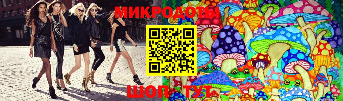 Галлюциногенные грибы Psilocybe Кемерово