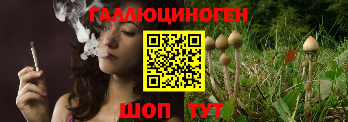Псилоцибиновые грибы мухоморы  Вход с VPN  Кемерово 